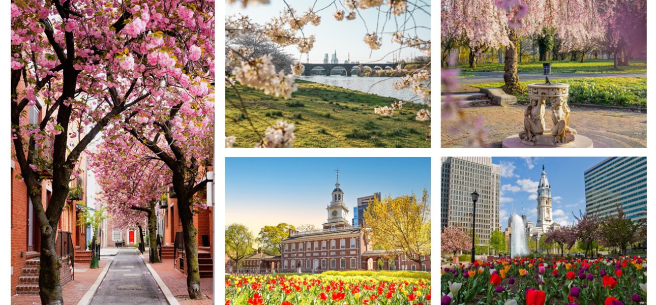 Frühlingsgefühle in Philadelphia – Die fünf schönsten Orte zur Blütezeit